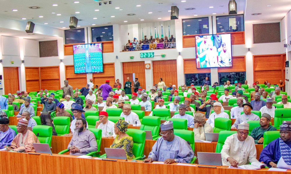 Economic Hardship: Nigerian lawmakers considering 50% salary cuts for 6 months